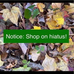 Shop Hiatus 🦃